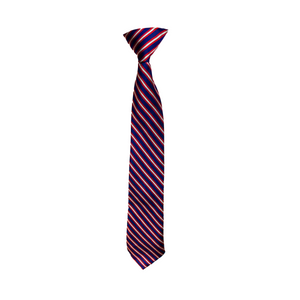 Holy Trinity Boys Stripe Tie Mandatory Item for Mass Grades K-8