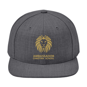 Dark Gray Hat w/ Ambassador Logo
