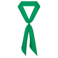 Load image into Gallery viewer, Scarf Ties (Grades 5-8)
