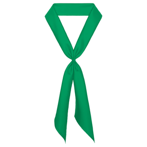 Scarf Ties (Grades 5-8)