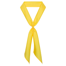 Load image into Gallery viewer, Scarf Ties (Grades 5-8)
